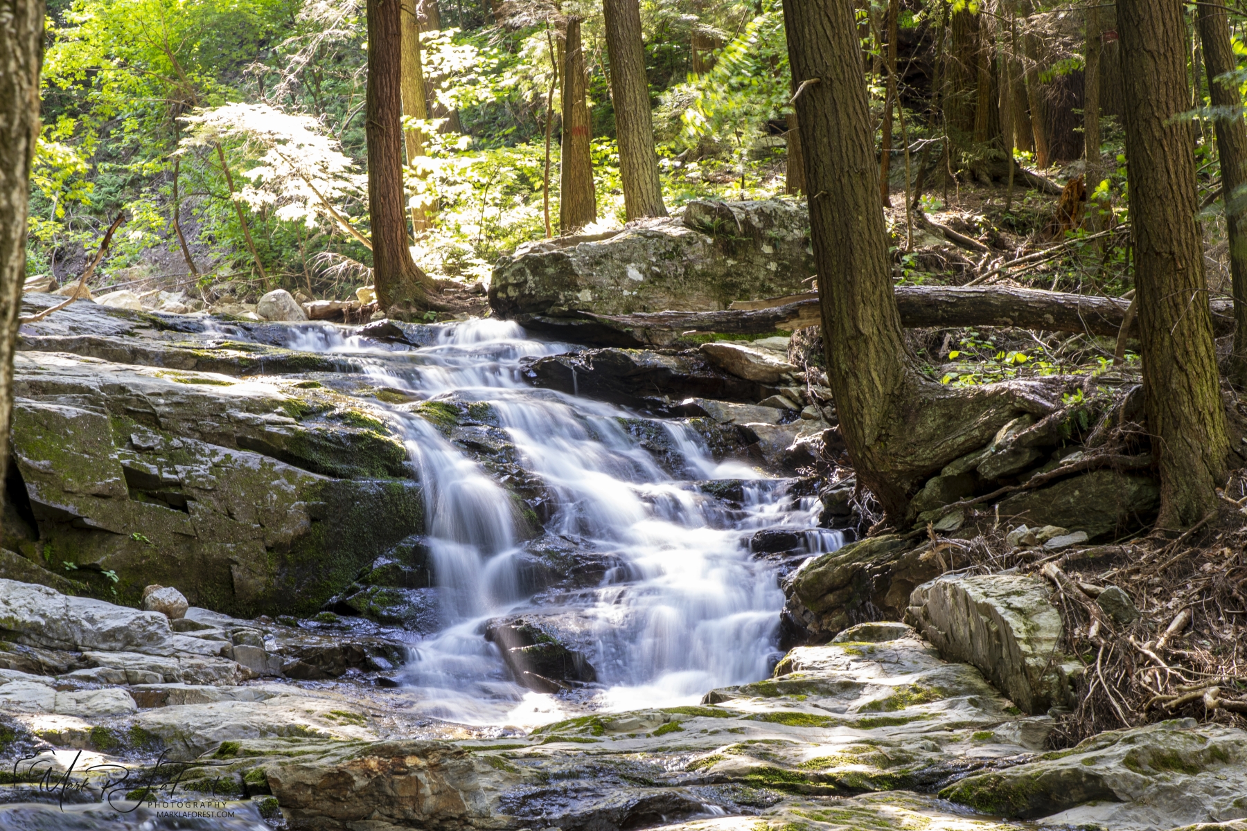 Abbey Pond Trail Falls, Middlebury, Vermont